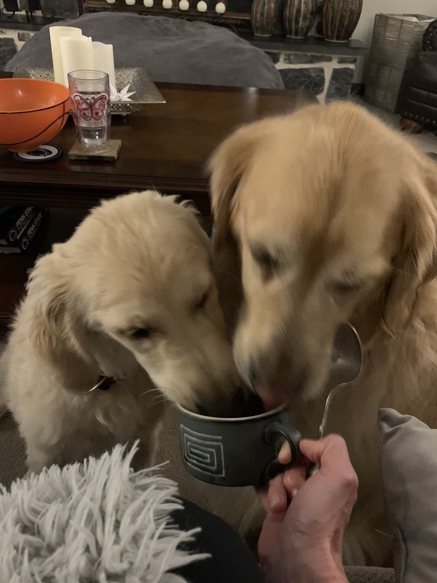 Crystal Loose tweet media