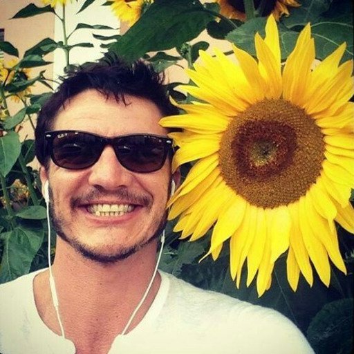 a thread of how your camera roll would be like if pedro pascal was your boyfriend