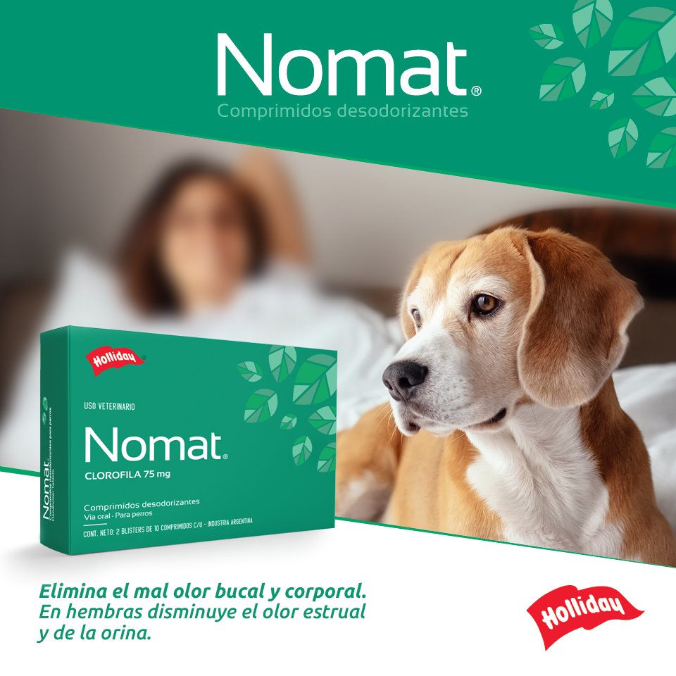 LabHolliday's tweet image. Nomat es el biomodulador formulado con clorofila que mejora el aliento y olor en general de la mascota, de forma natural y saludable.

Consultá con tu médico veterinario de confianza.

Obtené más información en holliday-scott.com/AR