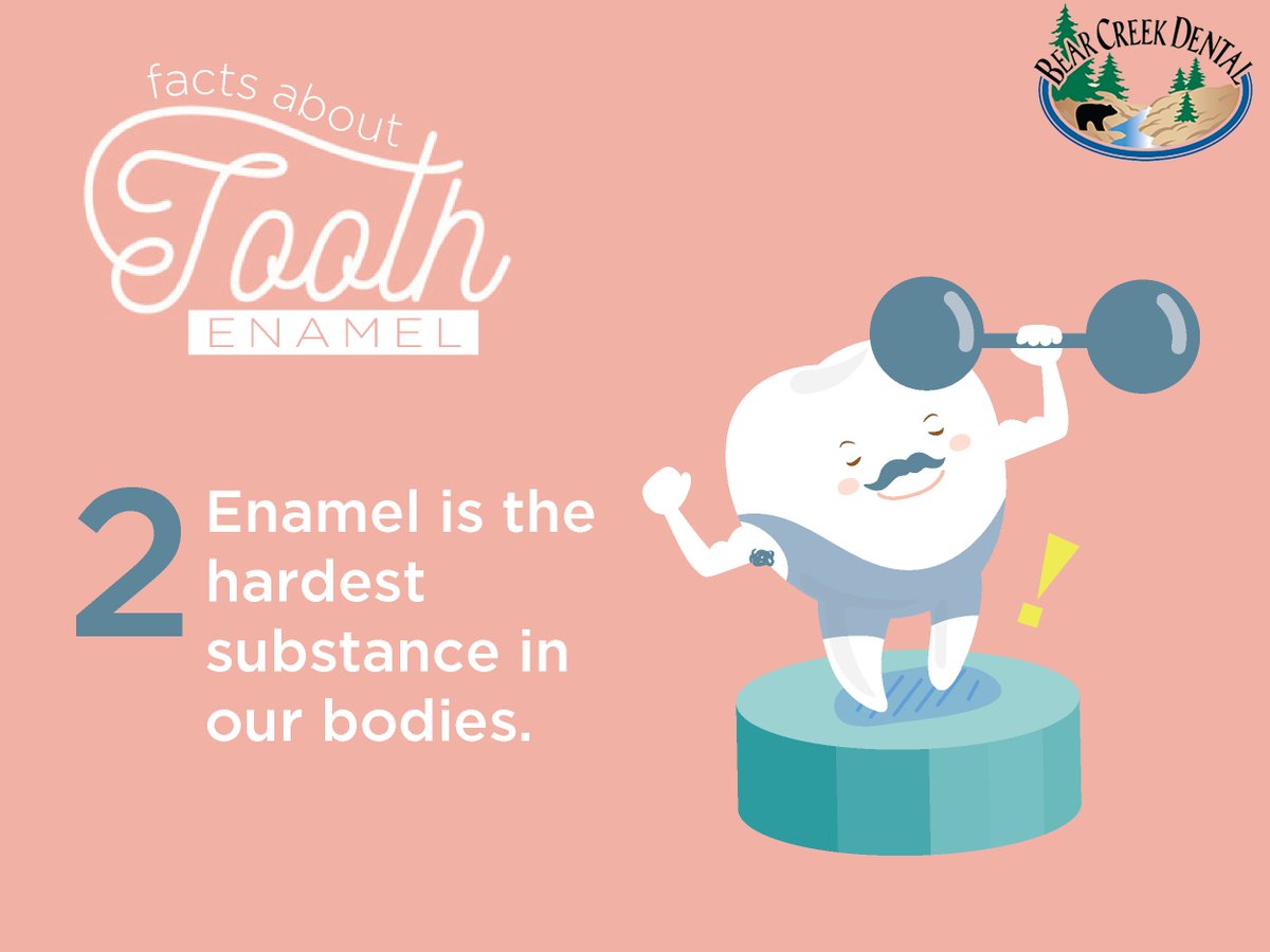 DentistColoSpgs's tweet photo. That enamel on your teeth is super strong! Hit like if this was news to you  via: https://t.co/ht9P0DqC1S https://t.co/Ij6t5XcOXq