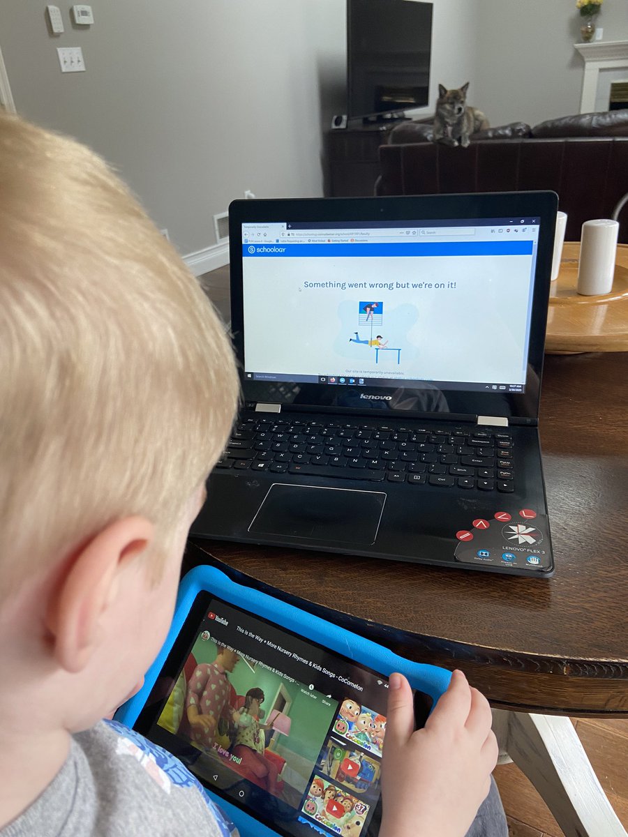 Mrs. Reber tweet media