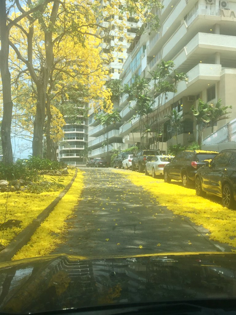 Nicole 🧚‍♂️ tweet media