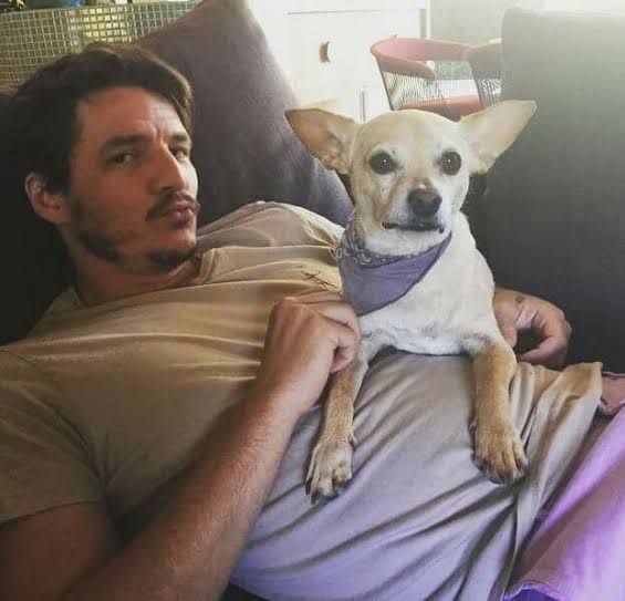 a thread of how your camera roll would be like if pedro pascal was your boyfriend