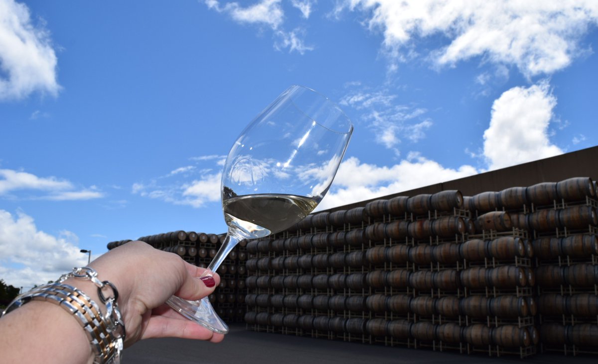 Sonoma County Wine Country is known for its laid back vibe and many family owned small businesses although it is widely known for the vineyards. A welcoming community in Northern California. #wine #winelovers #Sonoma