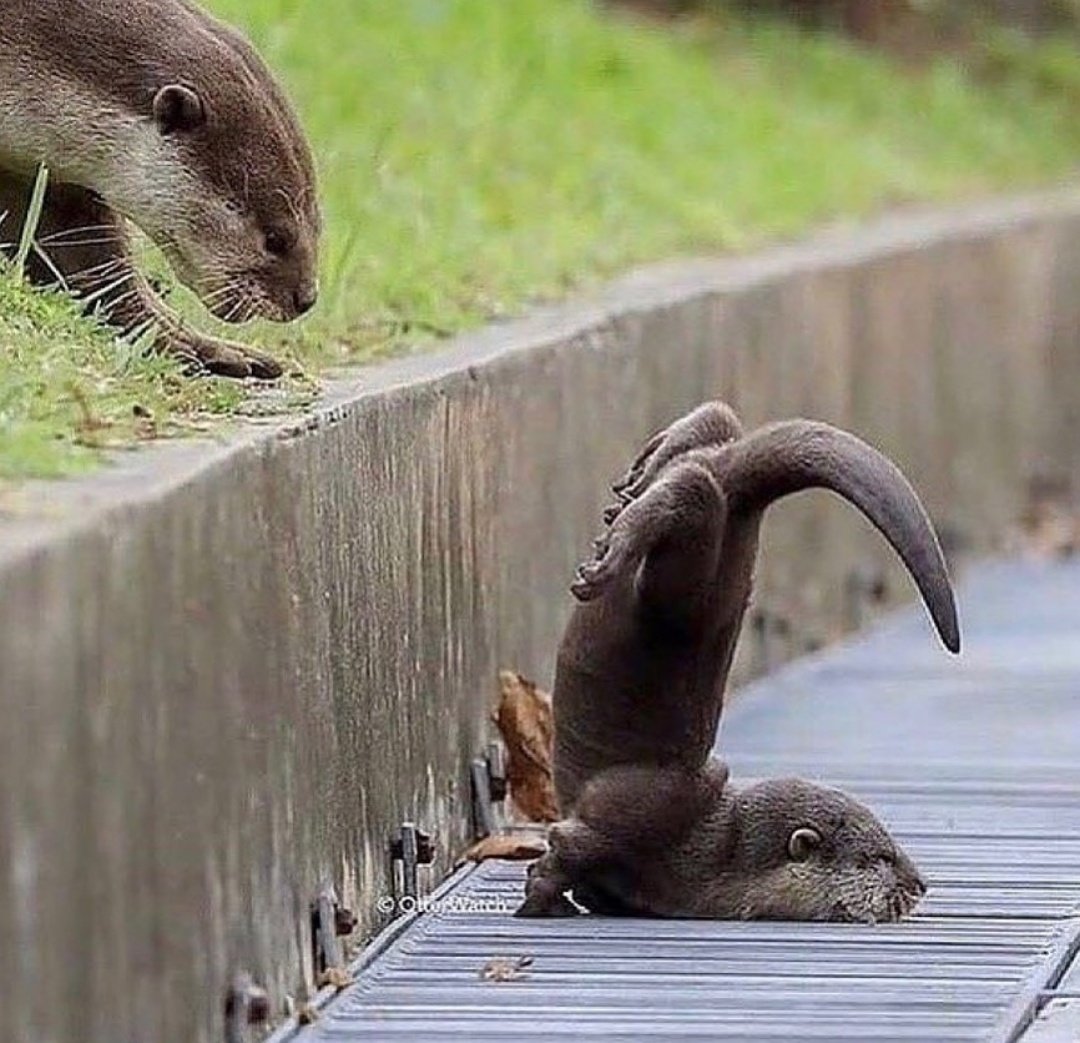 - Te dije que no jugaras más ahí que te ibas a ir de jeta, ahora no quiero escucharte llorar