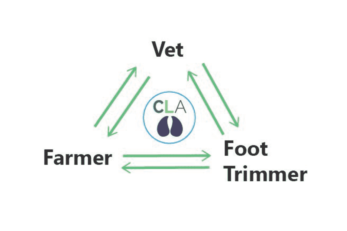 _CLAcademy's tweet photo. The @_CLAcademy team have written an article for @VetPractice_Mag 'Tackling lameness in dairy cows' https://t.co/ikIDxIv2Ou

Don't forget to subscribe to Youtube channel https://t.co/fErP1pWPZM to keep up to date with our #MobilityMatters videos  @Bayer4Animals @SynergyFarmVets https://t.co/IPCSwjvolO
