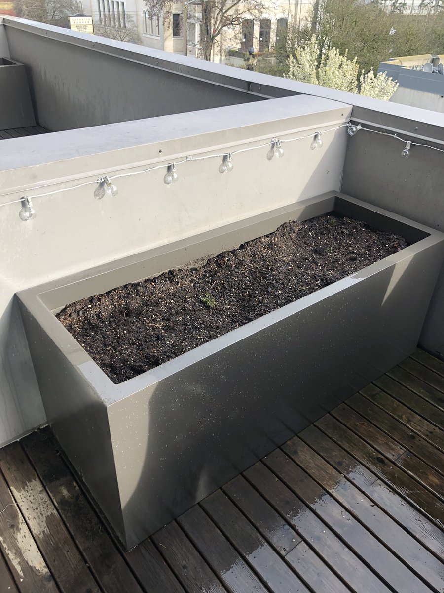 julesedav's tweet photo. #heyswansons what should I plant in this giant (2 ft by 5 ft) planter box? It gets full sun, and will sometimes go a long weekend without being watered in the summer. I’m thinking of filling it with lavender but I’d love some variety and longer bloom time/more color! https://t.co/dHNr05L580