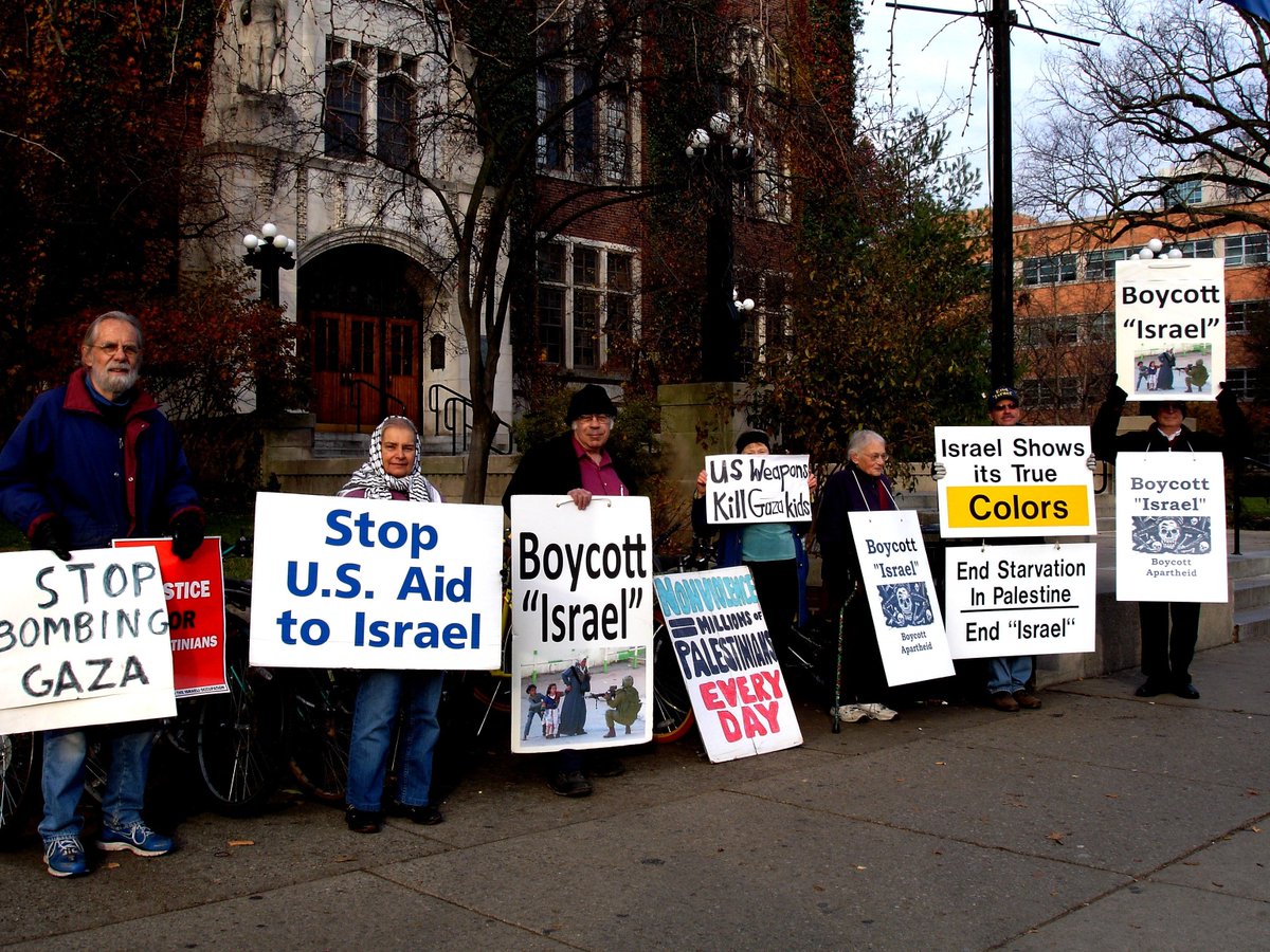 Mozhgan_Savabi tweet media