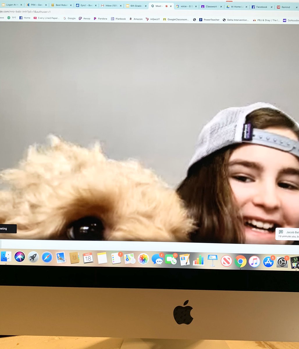 MiTeacherGirl's tweet photo. Hosting class meetings online &amp; keeping in touch with students through video chat, Email, Google Classroom, and phone calls. Missing my 6th graders!! #DoingMIPart #CadillacAreaPublicSchools @GovWhitmer https://t.co/URPpZ49GwX