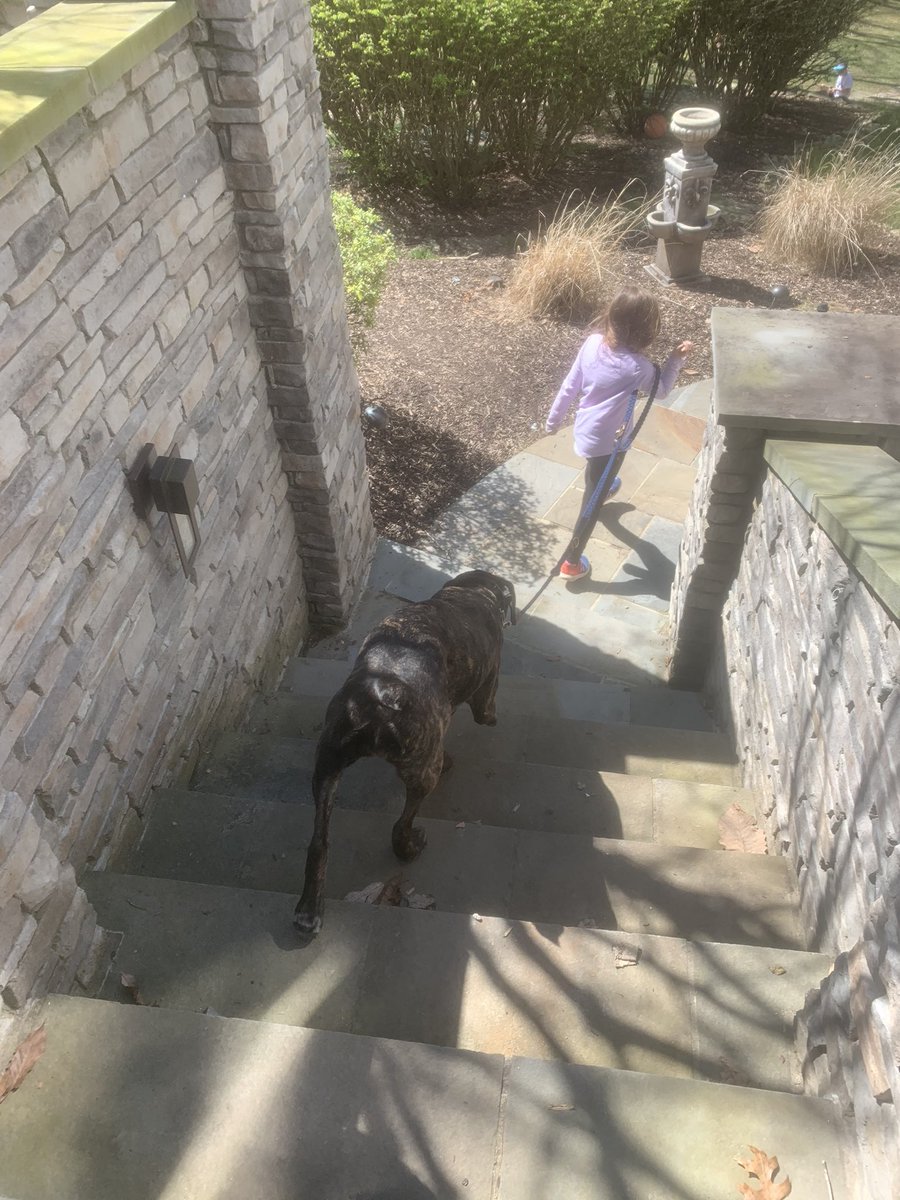 Faith Rodill tweet media