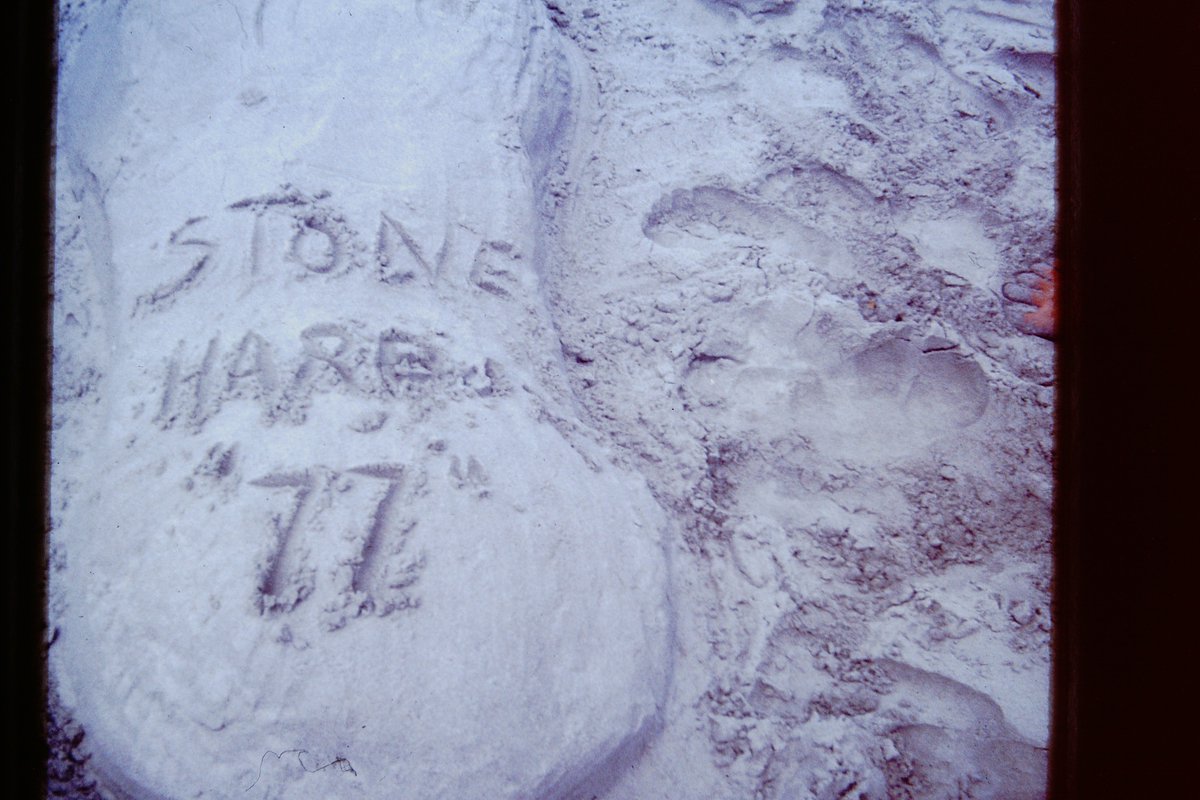 He went on a trip to Stone Harbor, NJ just before his senior year. Stayed in that house and went to the beach with his friends. I am also pretty sure that Fred Tavern has not changed their tee shirt design since.