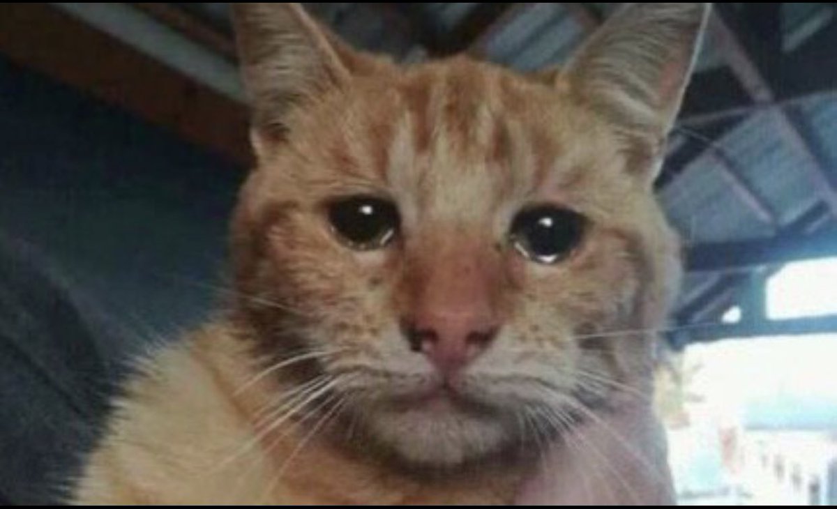 Quand le snap chat de <a href="/babydriverdz/">anis</a> est bloquer .. #SnapchatFranceRaciste