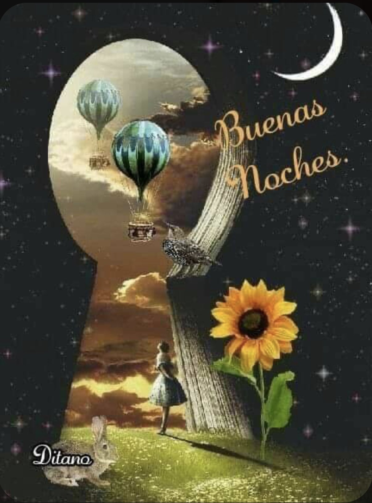 OJOS BONITOS on Twitter: OJOS BONITOS on Twitter: