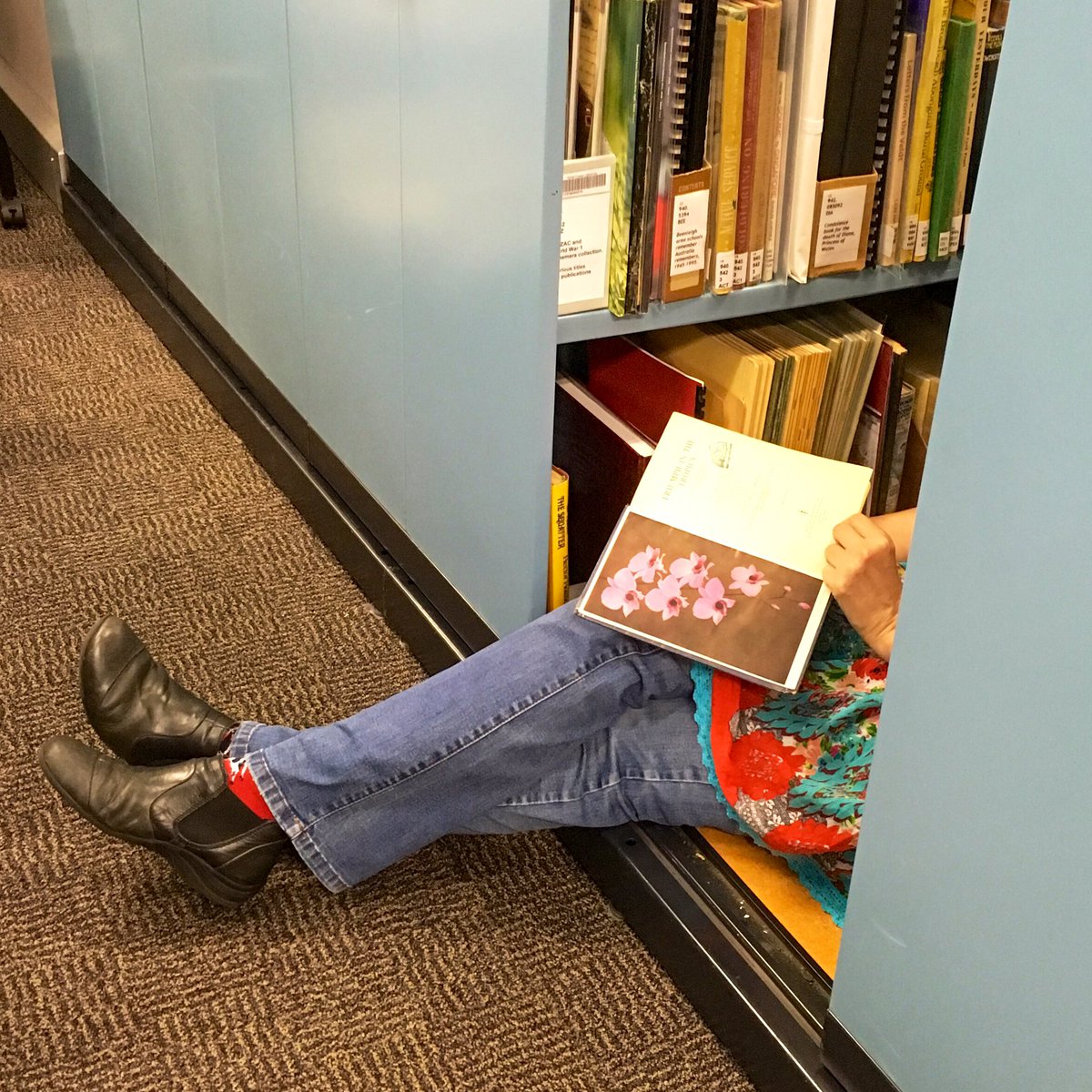 kylastephan's tweet photo. Our customers may be in the cloud at present, but our #localstudies staff are on the ground (literally) answering questions and improving the collection behind the scenes. #gclibraries #localhistory #libraries https://t.co/JiFe2QRVJx