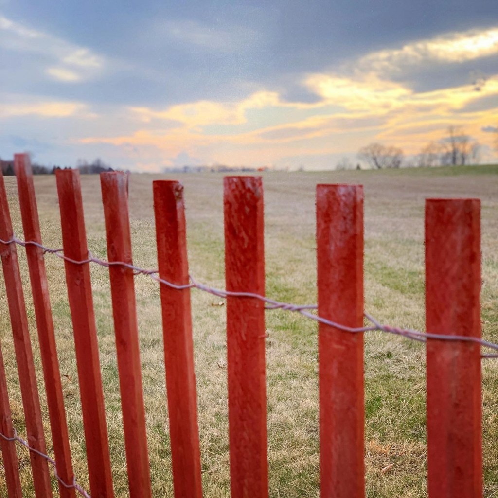 live_read_write's tweet image. Week Two: Scene in Quarantine erikacrowl.com/week-two-scene…