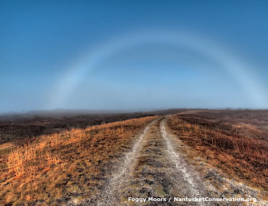 97.7 ACK-FM tweet media