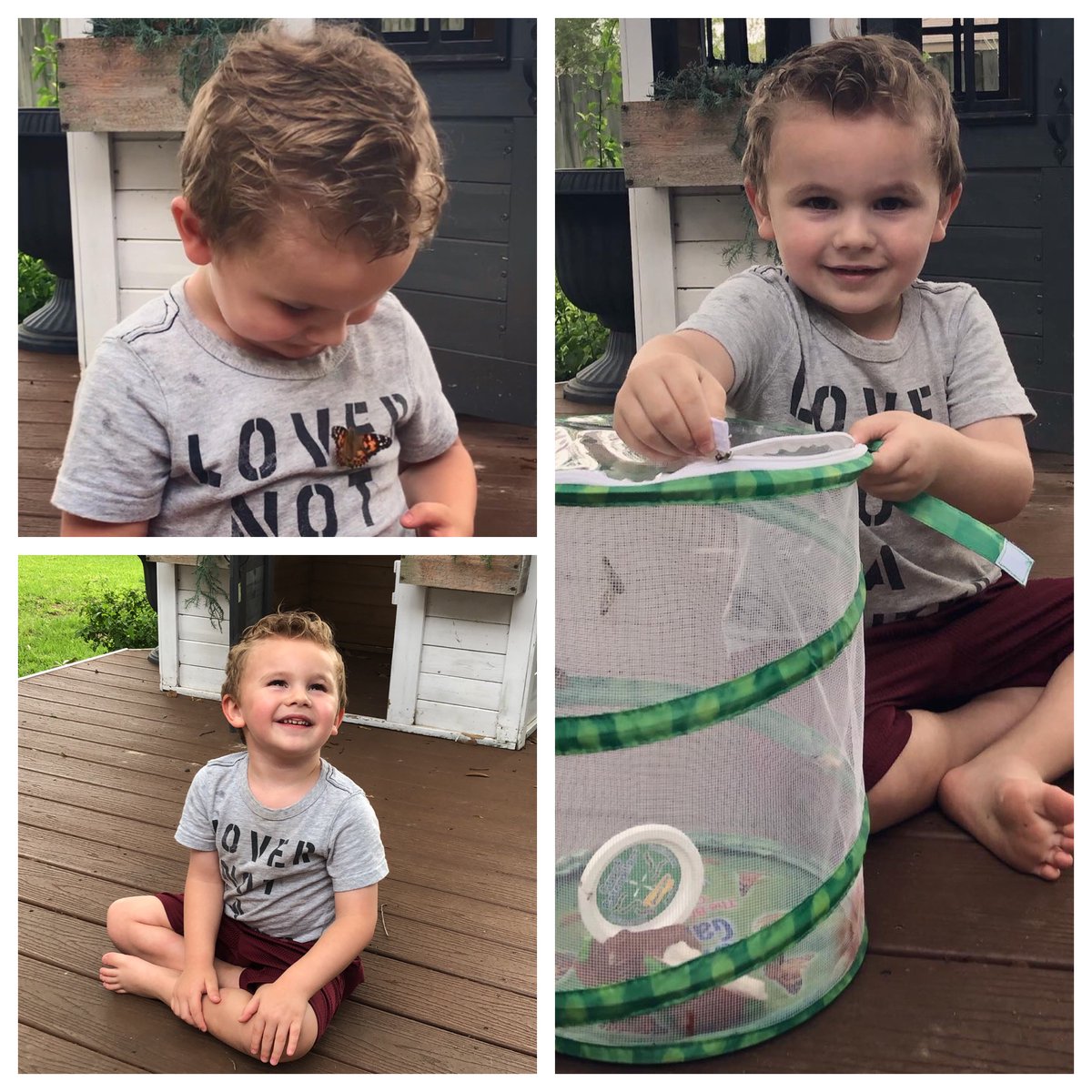 This little panther is missing his KO preschool class but still enjoyed a butterfly lesson at home! 🐛🦋 <a href="/KleinISDscience/">Klein ISD Science</a> <a href="/DebbieRussell44/">Debbie Russell</a> <a href="/KleinOak/">Klein Oak HS</a>