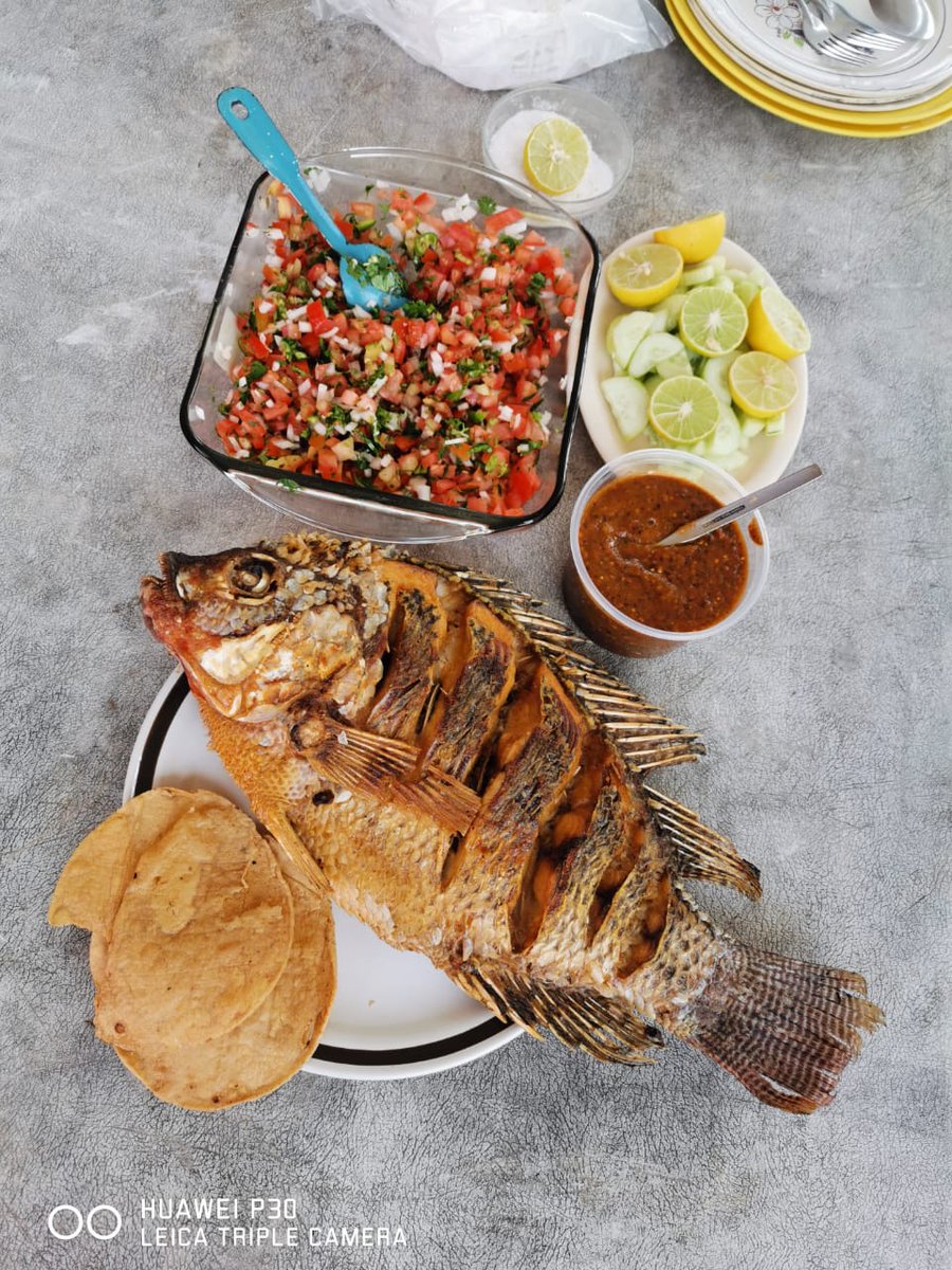 ScLuisiv's tweet photo. Hoy no hubo carnita asada pero si pescaditos al disco #pescado #comidadequarentena https://t.co/NxdhCYxJtR