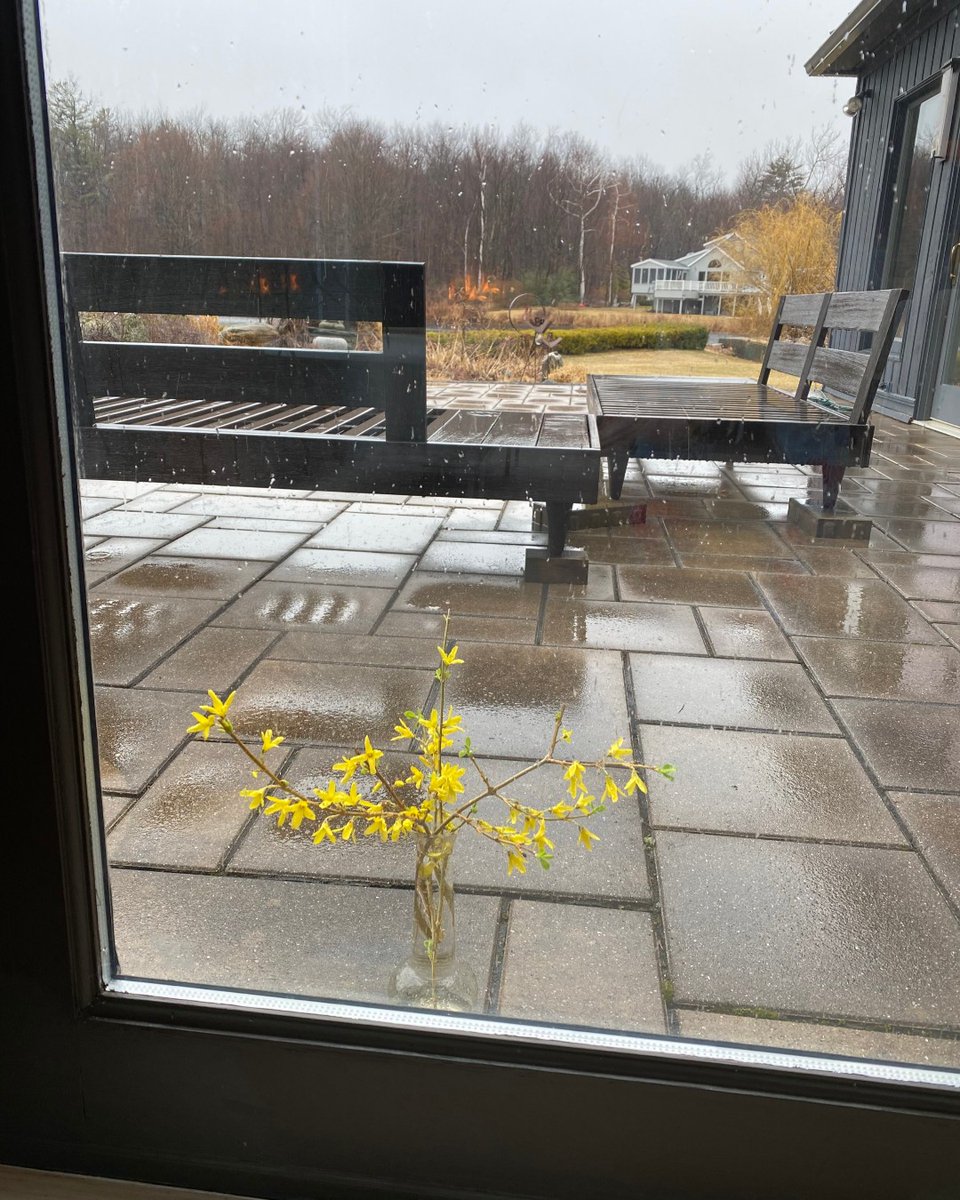 MargoMorrisonNY's tweet photo. During these unprecedented times, Margo was moved by this recent random act of kindness by her neighbor. We're all in this together, and a solid sense of community (even if it's from afar) is welcome. Take good care of you!  #COVID19 #Quarantine #SocialDistancing #Kindness https://t.co/4fPdduWCae