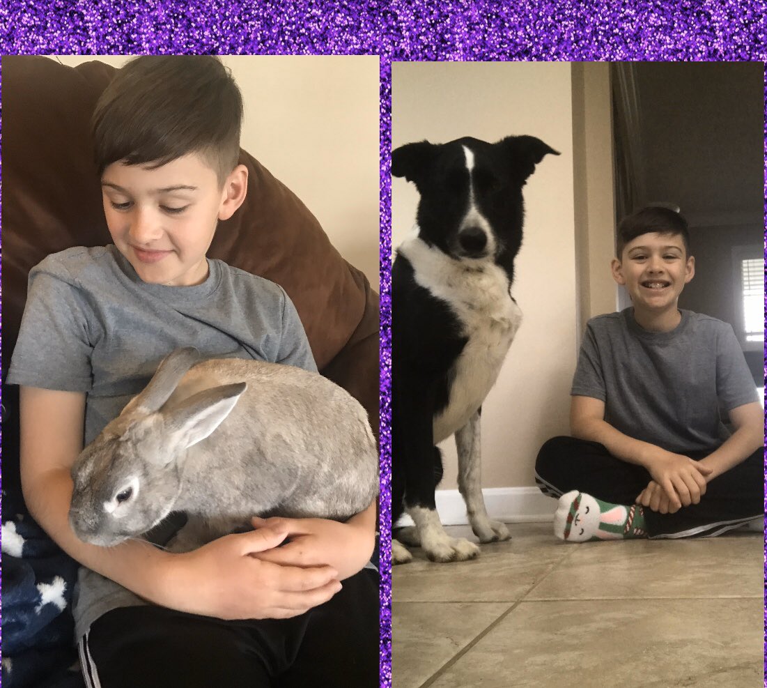 KES spirit week- woofie day! Logan had to take a pic with Leo but we also couldn’t leave out our other furry family member Jack Bunny! 💖 @KESCounsel <a href="/jacobalferio/">Jake Alferio</a> <a href="/nevillemaura/">Maura Neville</a>