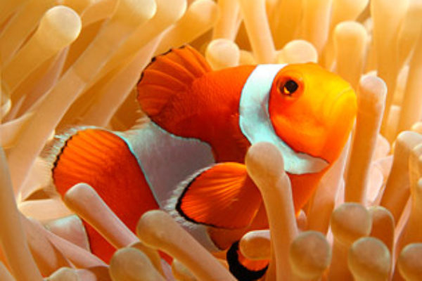 AquariumTalks tweet picture