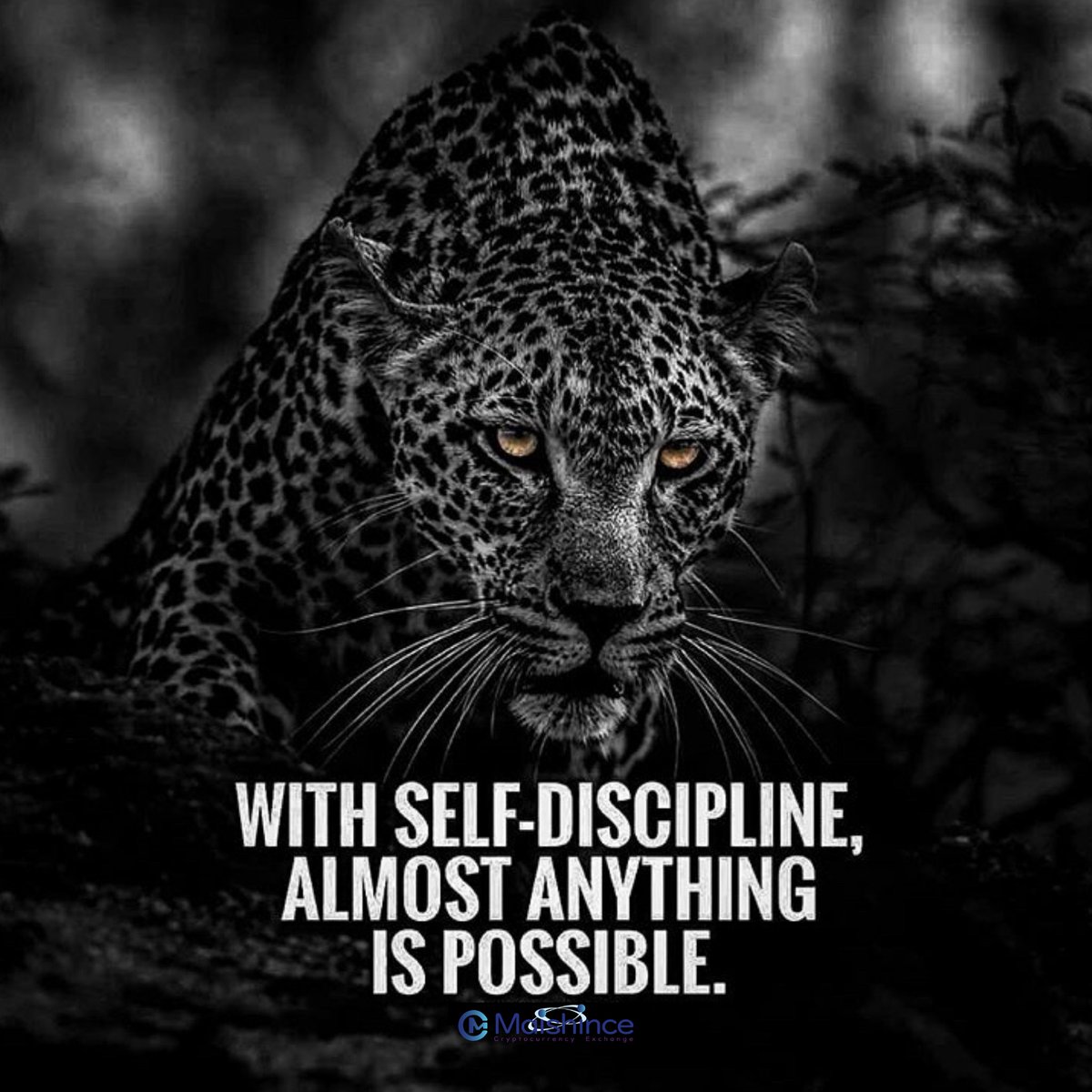 Your level of success is determined by your level of discipline and perseverance

#inspirational #motivational #inspirationalquotes #inspiring #quotes #life #lifequotes #motivate #inspirationallifequotes #blockchain #cryptocurrency #covid_19 #corona #coronavirus