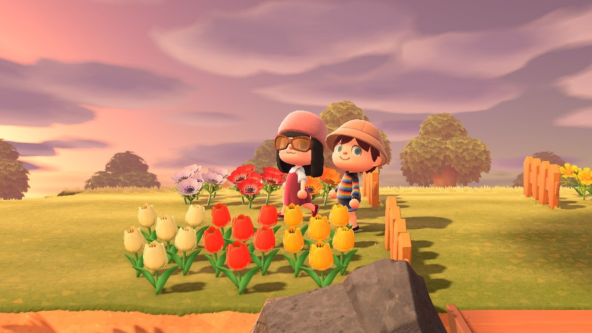 frootACNH tweet picture