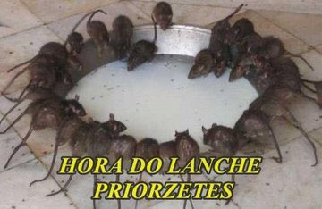 sitepopnet's tweet photo. Se tudo que o Prior ja fez no programa não é o suficiente pra vocês eliminarem ele, vai aqui um incentivo pra vocês verem o tipo de pessoa que se identifica com ele e lhe apoia. #BBB20 #RedeBBB https://t.co/hEf9DOiglV