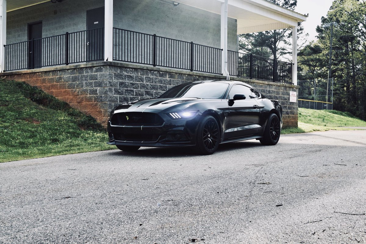 Gaized's tweet image. It’s been a while, but here’s the newest edition 🤷🏻‍♂️🐺