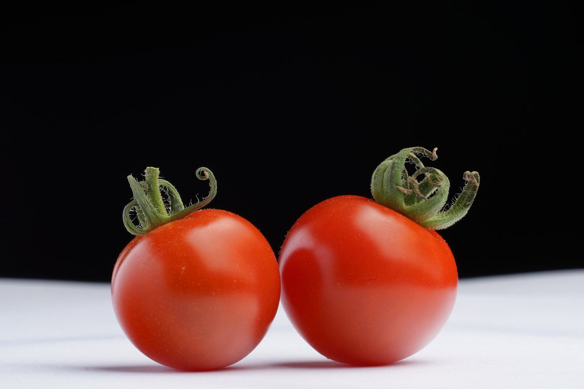 PowersFlowers's tweet image. I’m still banging on about tomatoes, the best ever fruit in the world. Today’s 🍅 #ATomatoADay 🍅 is Gardener’s Ecstasy grown by Jean Perry  of @Glebe_Gardens in Baltimore, Co Cork. Read more on Facebook facebook.com/TotallyTerrifi…
#TTTomFest20 #TomatoLove