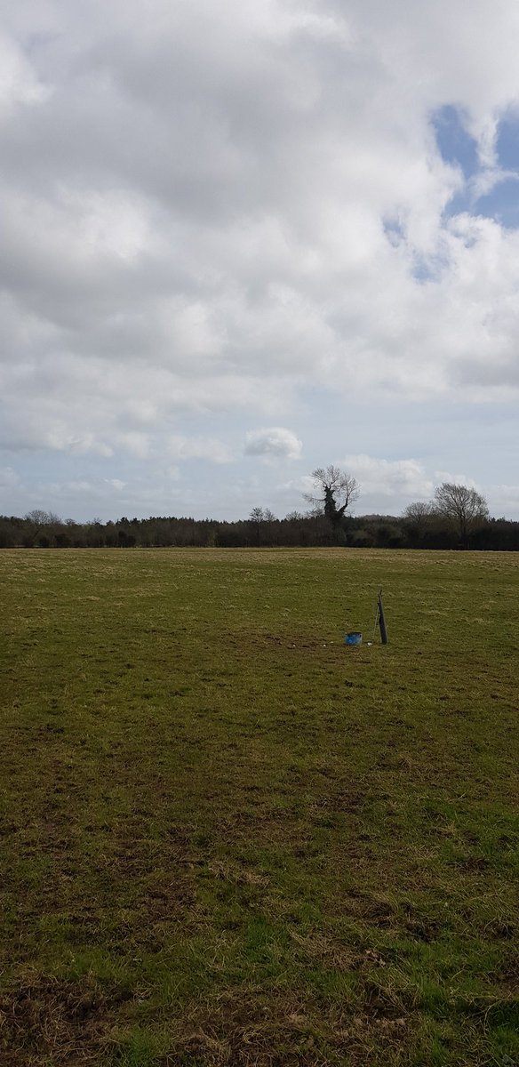 The great outdoors <a href="/BarryPurcell6/">Barry Purcell</a> 
#arableApril #socialdistancing