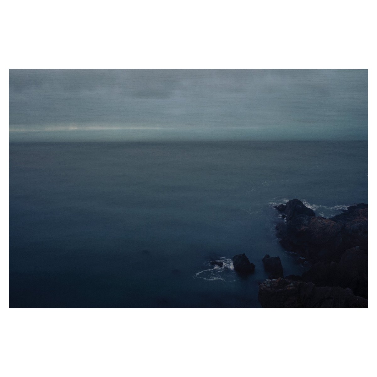 Johnny Savage tweet media