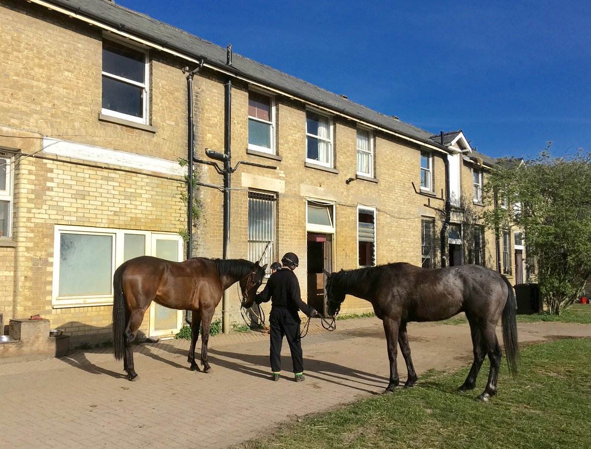 JohnWathenBerry's tweet photo. A beautiful, very warm spring day in Newmarket #HopeIsHigh #TheSimpleTruth @Roy__Rocket https://t.co/FyP87ncc2E