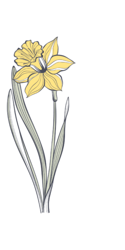 LitWorks's tweet image. We mark the 250th anniversary of the birth of #WilliamWordsworth by sharing the absolute favourite poem by him from our #NationalMemoryDay project. Participants, poets and staff all love it. 'Daffdoils'. Read it here: nationalmemoryday.org.uk/resources/ - illustration by @TocoCreative