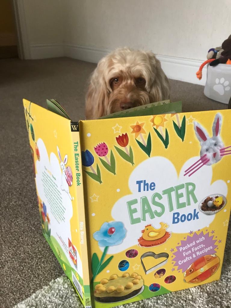 gateslibraries's tweet photo. Fudge is ready to do some Easter crafts! #petspick #stayhome #eastercrafts https://t.co/twMoEy2EvY