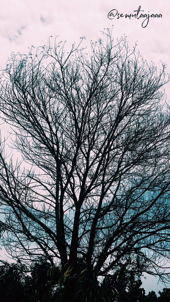 semutaajaaa's tweet photo. Semutaajaaa galery 🍂 https://t.co/psLBoInSqI
