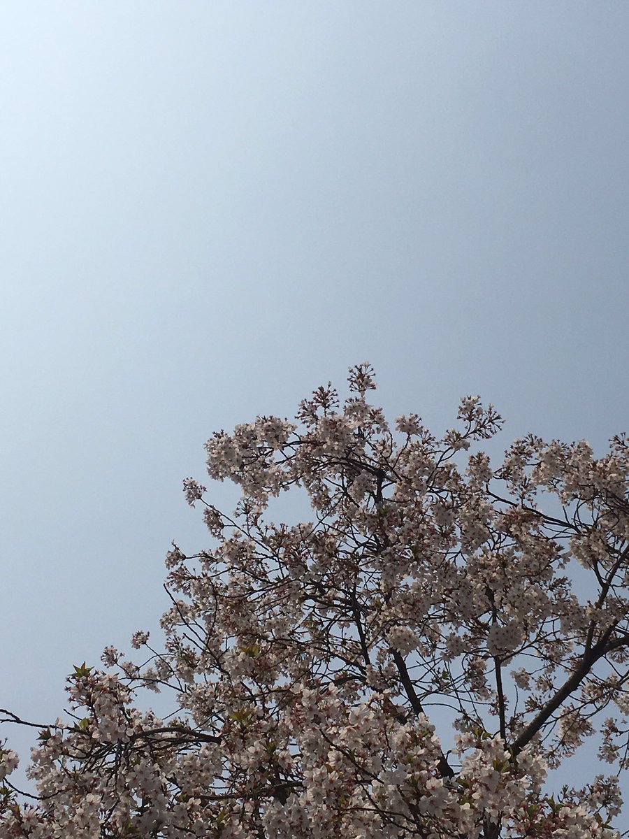lake_views_'s tweet photo. 오늘 찍은 식물들 https://t.co/n7Zyb8pX7k