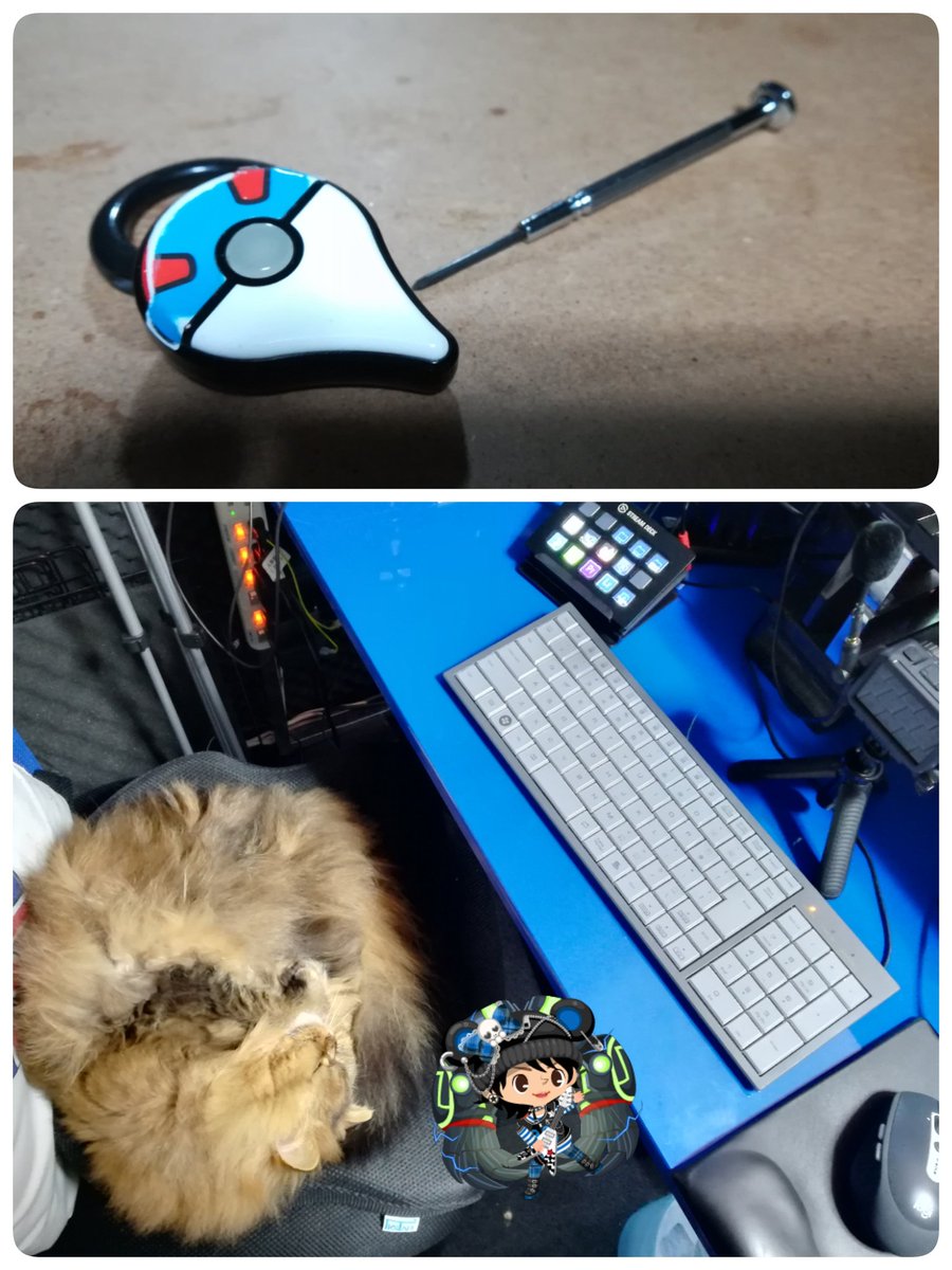 カビゴンゆかり With T Twitterren T Goプラス電池交換完了 ポケモンgo ポケ活 ゴープラ Goplus セルカークレックス ルナ編集長 猫 Linecamera