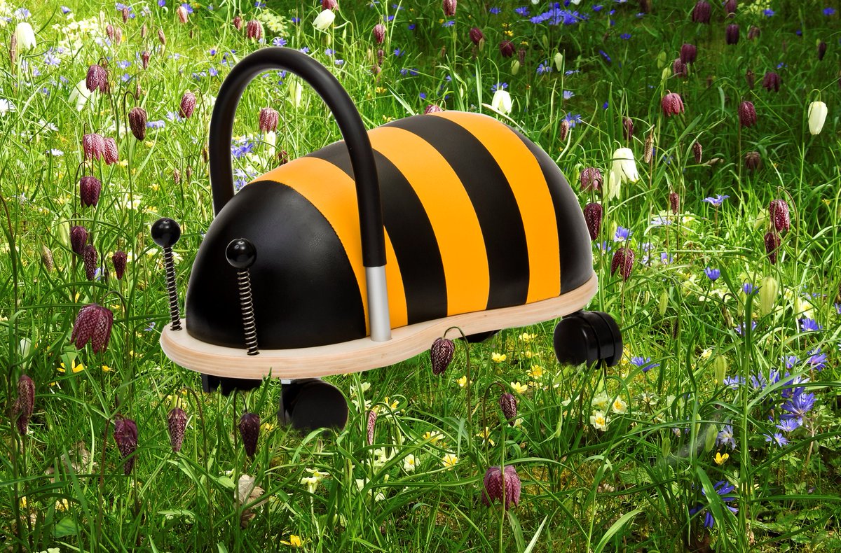 hippychick_com's tweet photo. It's never too early to tune your kids into nature - Ride-on Bee ๐๐wheelybugs available from https://t.co/7A5ewl0U96 #tuneintonature #nature #wheelybugs #hippychick #rideontoys #toddlers https://t.co/QW9GS9Qimb