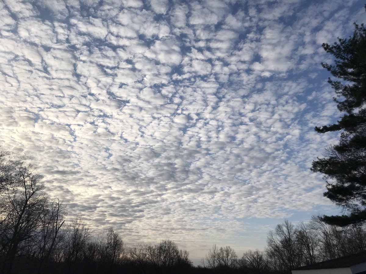 contentcottage's tweet photo. Buttermilk sky over my cottage this morning. #buttermilksky #mycottage https://t.co/X7MCgoTGJi