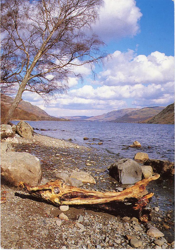 PostcardFromThePast tweet media