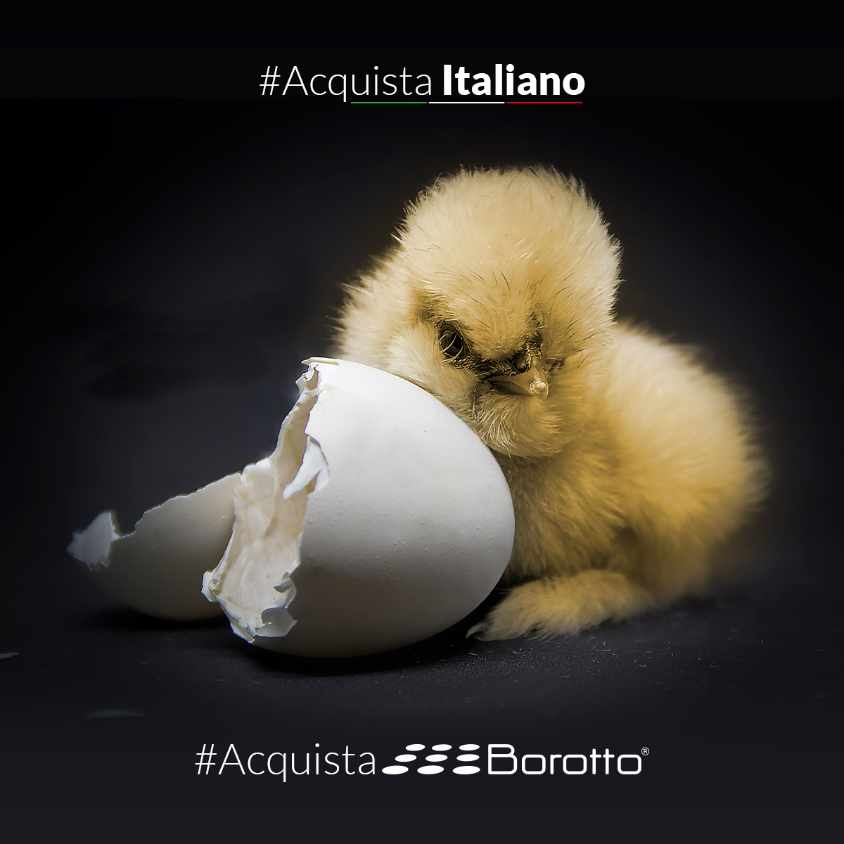 BOROTTO,
l'eccellenza nell'incubazione 💚🤍❤️
#AcquistaItaliano
#AcquistaBorotto