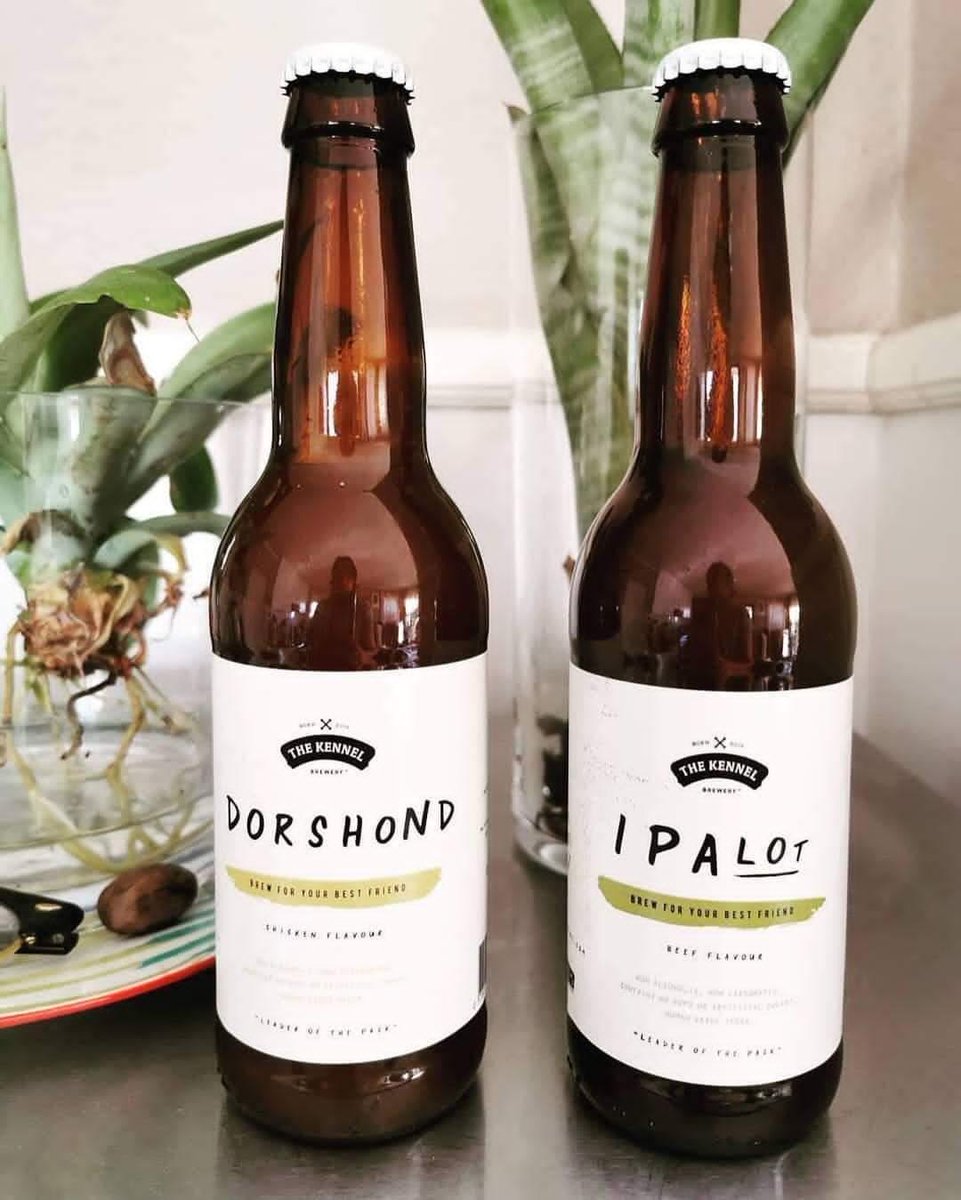 KennelBrewery's tweet photo. @FoxxBrew @ontapmagza He's still bit hangover from his dog beers..🤣🤣🤣 #dogfriendly #beerfordogs https://t.co/0RxuiAwW9H