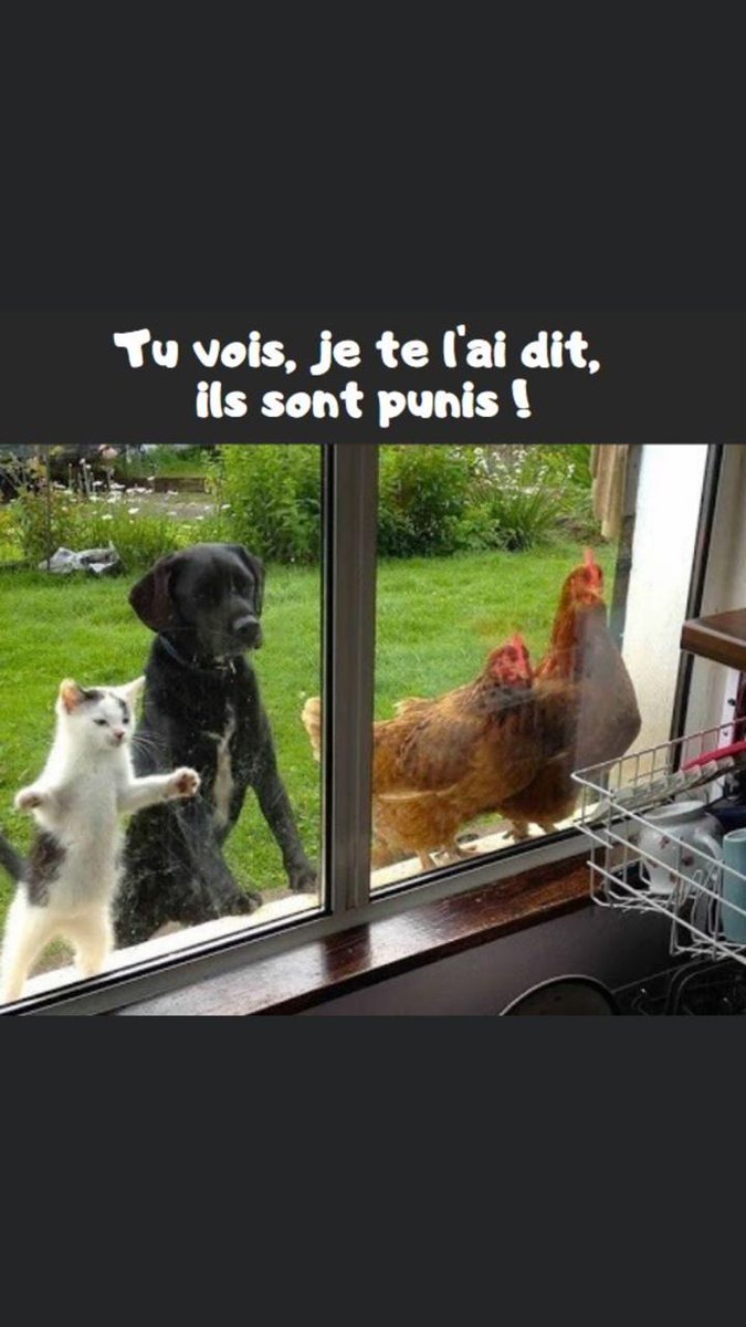 LesFarceurs's tweet photo. Hé oui ! On reste chez soit 😘 https://t.co/zKBnQopIIq