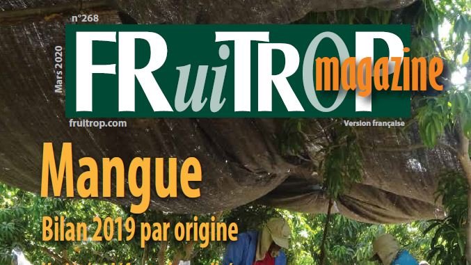 FruiTrop tweet media