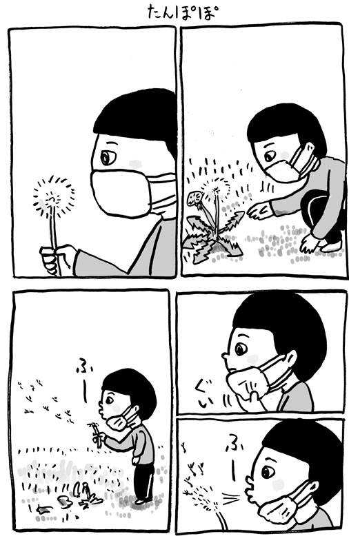 たんぽぽ 