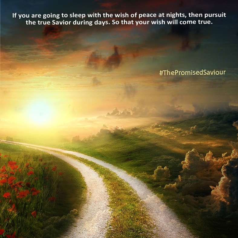 1417Mrf's tweet photo. If you are going to sleep with the wish of peace at nights, then pursuit the true Savior during days. So that your wish will come true.   #ThePromisedSaviour https://t.co/1BoPdWZuP4