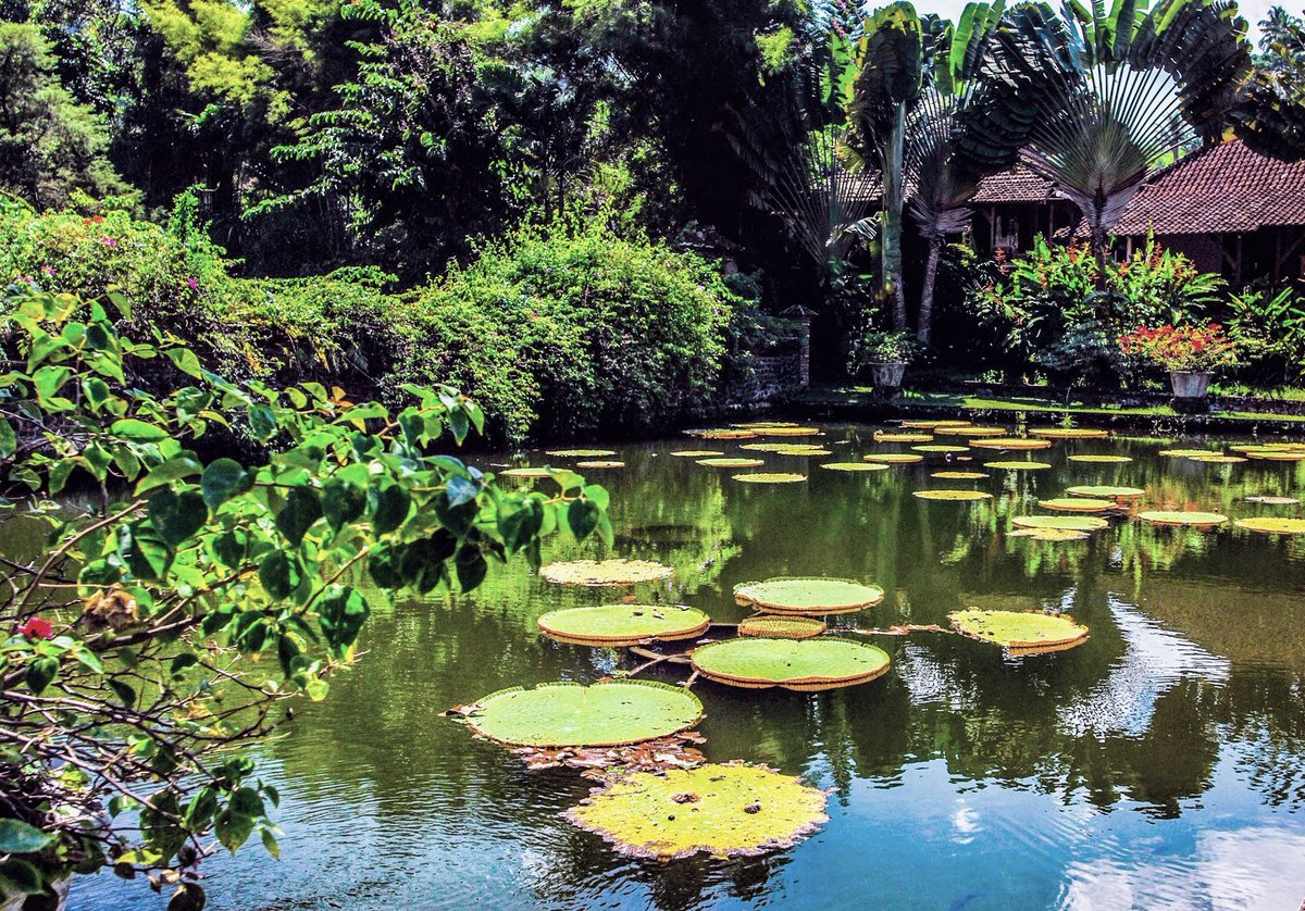 Water Garden, Bali, Indonesia  #SerenityNow