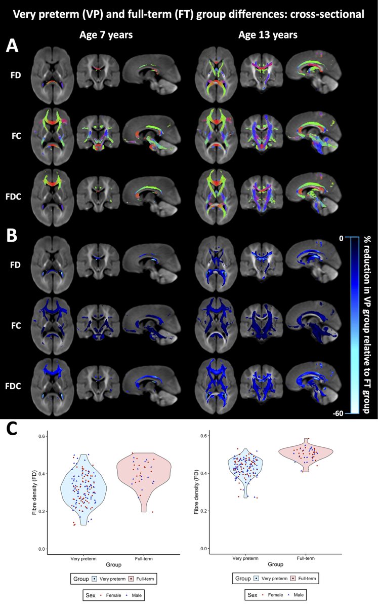 Sila Genc tweet media