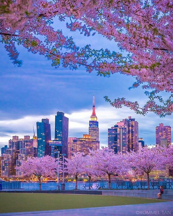 nycfeelings's tweet photo. Gantry Plaza State Park 📷 Rommel Tan @rtanphoto https://t.co/hk0nv5Cee6